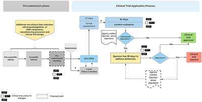 Advanced Therapy Medicinal Products' Translation in Europe: A Developers' Perspective